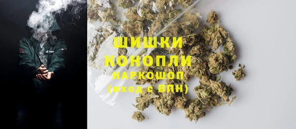 PSILOCYBIN Баксан