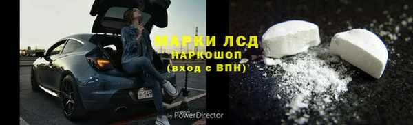 PSILOCYBIN Баксан