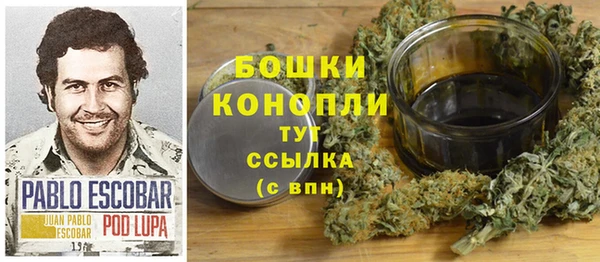 PSILOCYBIN Баксан